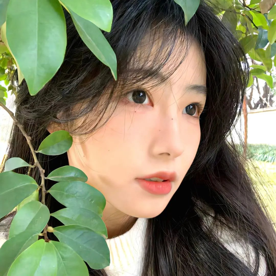 民主青年进行曲